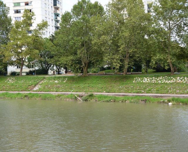 River bank regulation along Savinja, Celje